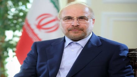 قالیباف: هیچ دژخیمی را یارای ایستادن مقابل ملت ایران نیست