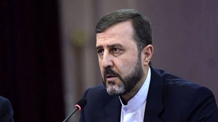 Qaribabadi: La verdadera cara de los derechos humanos estadounidenses al descubierto con las sanciones contra Albanese