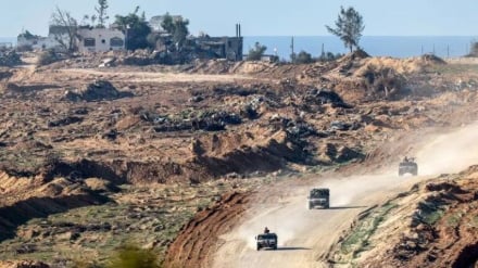 Gaza 