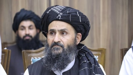 په افغانستان کې د درملو د صنعت وده