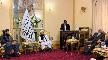 وزیر دفاع طالبان: افغانستان خانه مشترک همه افغان‌هاست 