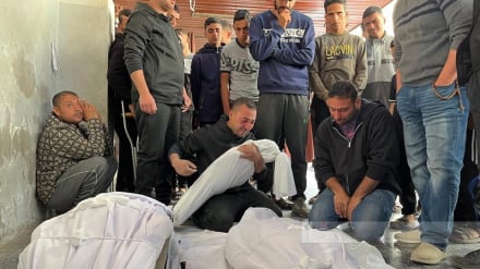 د فلسطین د غزې د شهیدانو شمیر دوه اویازره او اوه سوه درې اتیاو ته ورسید