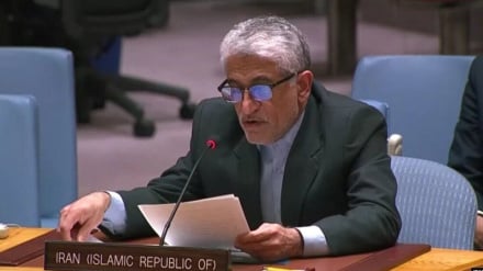 ایروانی: اقدامات ایران در تنگه هرمز قانونی و منطبق با حقوق بین الملل است