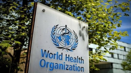 سازمان جهانی صحت: خطر «هانتاویروس» برای سلامت عمومی کم است
