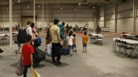 مخالفت‌های بین المللی با طرح آمریکا در انتقال مهاجران افغان به کنگو