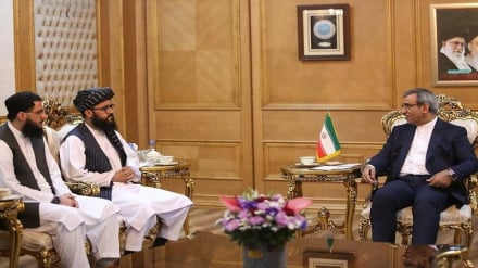 استاندار خراسان رضوی: سرمایه‌گذاری مشترک، ضرورت توسعه اقتصاد ایران و افغانستان