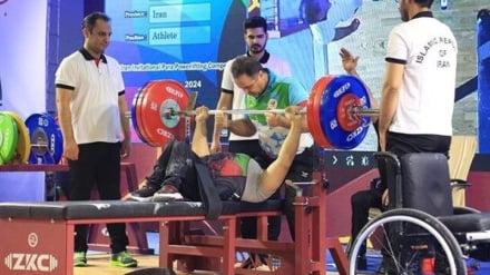 پاراوزنه برداری آزاد الجزایر؛ نشان طلا در دستان نماینده ایران