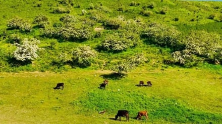 عنبرکوه تخار؛ طبیعت بکر و ناشناخته‌ای که گردشگران را جذب کرده است