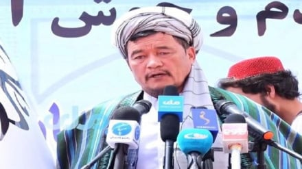 بازداشت یک عالم شیعه در دایکندی 