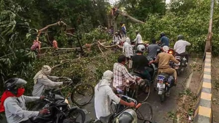 ভারতের উত্তর প্রদেশে প্রবল ঝড়ে নিহত বেড়ে ৯০, বিমান চলাচল ব্যাহত