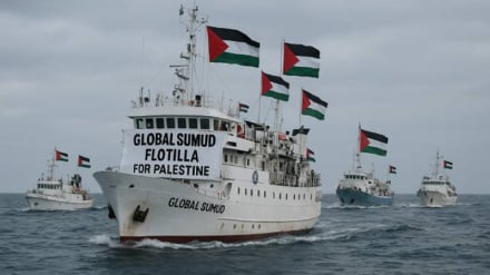 Shambulio la Utawala wa Kizayuni Dhidi ya Msafara wa Meli wa Sumud; Mijibizo, Jumbe na Matokeo Yake