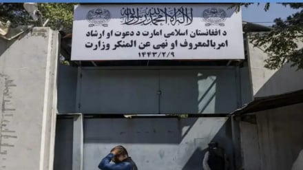 یوناما: نزدیک به ۸۰۰ غیرنظامی در سه‌ماه نخست ۲۰۲۶ در افغانستان کشته و زخمی شدند