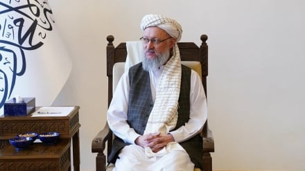 معاون اداری ریاست الوزرای حکومت طالبان با مسئولان برنامه جهانی غذا دیدار کرد