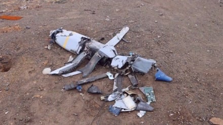 Iranian Army: One hostile enemy drone destroyed