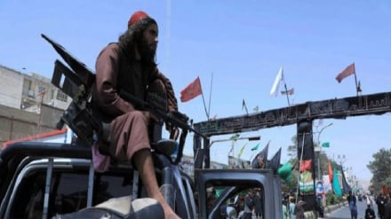 طالبانو په هرات کې د دوو وسله‌والو غلو د وژل کېدو خبر ورکړ