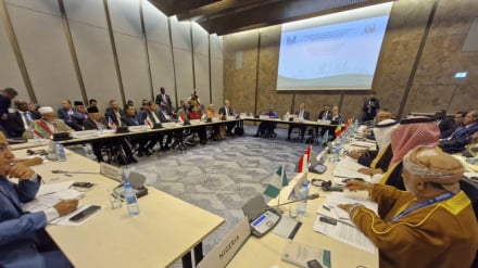 PUIC Executive Committee welcomes Iran’s initiative to strengthen unity among Islamic countries