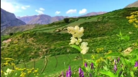 جهیل شیوه؛ نگین گردشگری بدخشان در مسیرهای دشوار پامیر