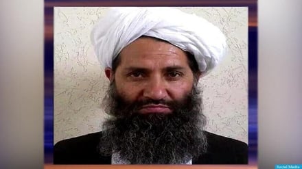 منابع نزدیک به طالبان هشدار ملاهبت الله به تی تی پی  را رد کردند