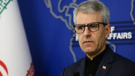 Baqai: Karbala es el centro de la empatía y el afecto entre las dos naciones de Irak e Irán.