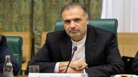  واکنش‌ها شهروندان به طرح مقابله با «بدحجابی» و بازداشت زنان در هرات و تأکید امر به معروف بر اجرای قاطع طرح