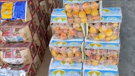 خیز صادراتی قندهار؛ ارزآوری ۴۲۸ میلیون دلاری از مسیرهای متنوع تجاری