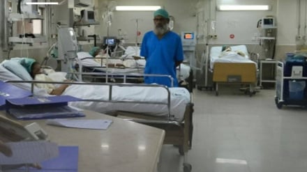 گزارش ابتلا به آبله میمون در ایالت پنجاب پاکستان