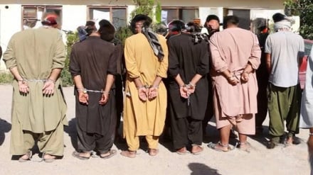 بازداشت هفت تن در پیوند به قتل دو عضو یک خانواده در ولسوالی زنده‌جان هرات