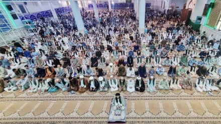 تأکید نمازگزاران هرات بر وحدت و همبستگی در ماه محرم 