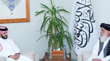 کنکاش، نقش قطر در حل منازعه بین دولت پاکستان و حکومت طالبان 31 02 1405
