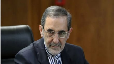Velayati: La estabilidad de los árabes del Golfo Pérsico se debe a la gestión de Irán sobre el estrecho de Ormuz