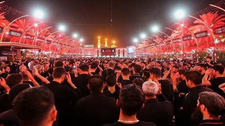 Ashura: Një shkollë e vigjilencës dhe besnikërisë që i tejkaloi kufijtë e historisë