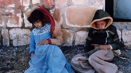 Sardashti; plaga e paharrueshme e botës