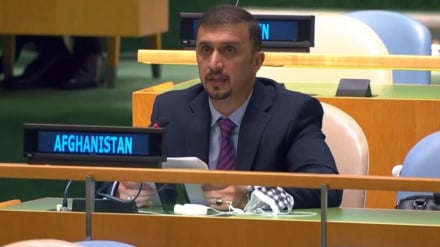 نصیراحمد فایق معاون مجمع عمومی سازمان ملل شد