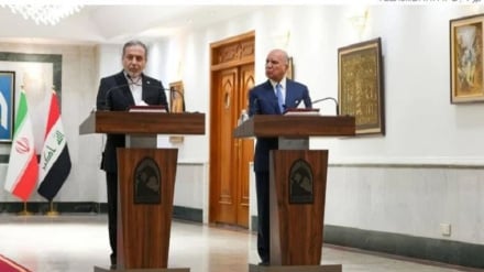 Araqchi: La responsabilidad de la gestión del estrecho de Ormuz recae en Irán, y ninguna otra institución o país es responsable de ello.