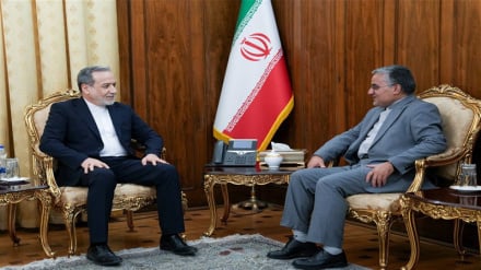 Araghchi Tekankan Konsultasi dengan Mesir untuk Perkuat Stabilitas Kawasan