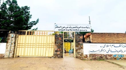  امر به معروف در هرات محدودیت‌های تازه وضع کرد؛ تردد زنان بدون حجاب کامل و محرم ممنوع شد