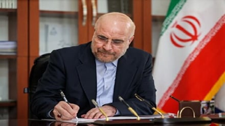 قالیباف: زنده‌باد مقاومت؛ زنده‌باد برادری دو ملت ایران و لبنان