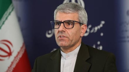 بقایی: هیئت حاکمه آمریکا باید به علت حمله به مخازن آب در جنوب ایران مجازات شود