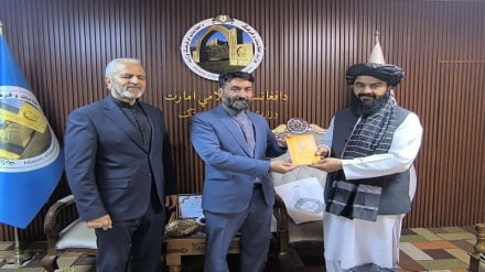 گسترش تعاملات فرهنگی محور دیدار مقام‌های ایران و افغانستان