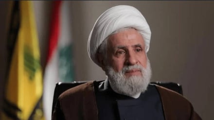 Şeyh Naim Kasım, Kalibaf'a yazdığı mektupta duruşunu takdir etti