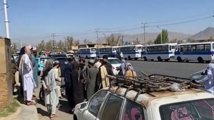آغاز دوباره فعالیت ترانسپورت شهری ملی بس در قندهار