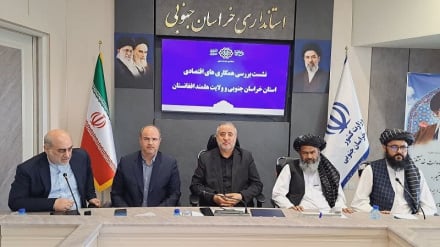 صنعت و زراعت خراسان جنوبی زمینه‌ای برای سرمایه‌‍ گذاری مشترک با افغانستان است