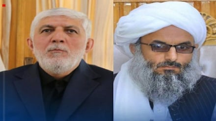 تأکید والی هرات بر گسترش روابط تجاری با ایران