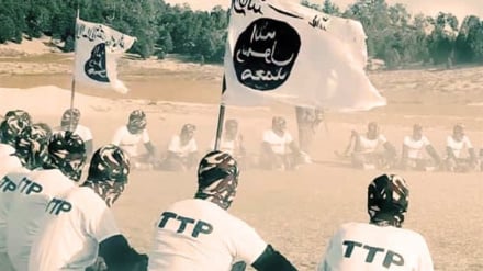 د افغان طالبانومشر پر ټي ټي پي غږ کړی په پاکستان کې دې عملیات ودروي