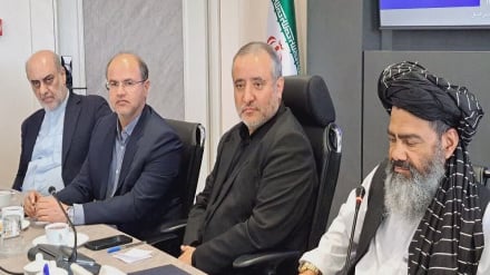 معاون والی هلمند بر استفاده از تجربیات ایران در زراعت مکانیزه تاکید کرد