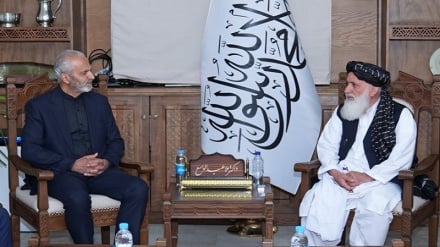 طالبان: روابط افغانستان و ایران مستحکم و جدایی‌ناپذیر است