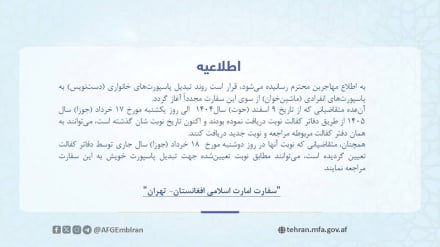آغاز مجدد روند تبدیل پاسپورت‌های خانواری مهاجران به پاسپورت انفرادی