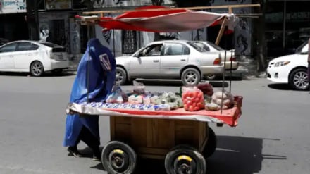 افغانستان در جایگاه پنجم بحران‌های آوارگی فراموش‌شده جهان قرار گرفت