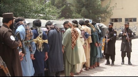 دستگیری باند هشت‌نفره جیب‌بران و سارقان در هرات