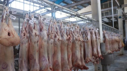 صادرات دومین محموله گوشت از هرات به ایران